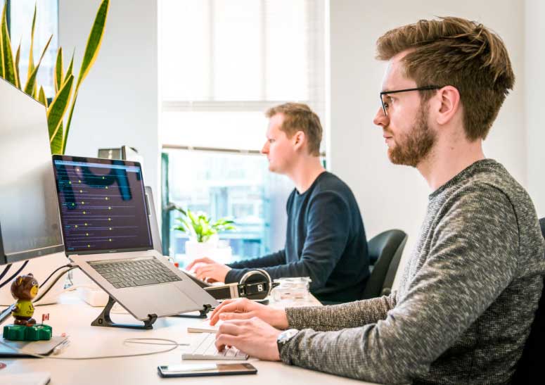 Two web designers working on computers in an office